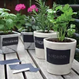 Chalkboard Sticker with 5 Colored Chalks