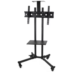 Mobile Presentation Stand