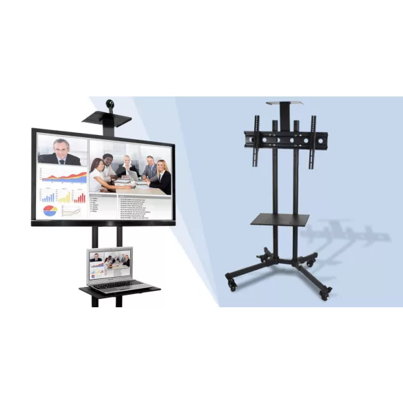 Mobile Presentation Stand