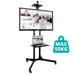 Mobile Presentation Stand