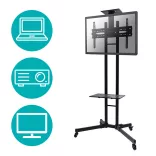 Mobile Presentation Stand