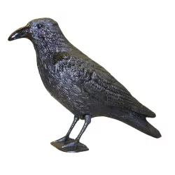 Pigeon Scarecrow for Balcony and Rooftop