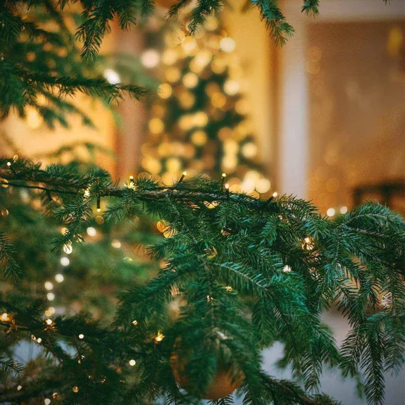 LED string lights available in different sizes and colors - 120 LEDs - warm white