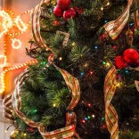 LED string lights available in different sizes and colors - 360 LEDs - colorful