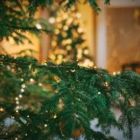 LED string lights available in different sizes and colors - 480 LEDs - warm white