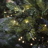 LED string lights available in different sizes and colors - 480 LEDs - warm white