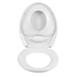 Toilet Seat with Reducer