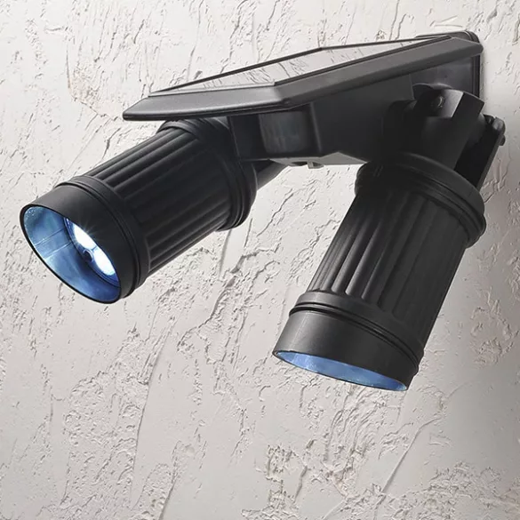 Dual Solar LED Light with Motion Sensor