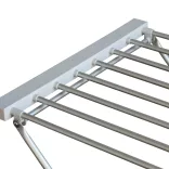 Electric Clothes Dryer, 120 W