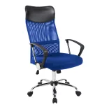 Ergonomic Office Chair with High Backrest - Blue
