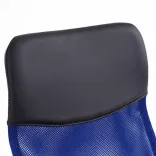 Ergonomic Office Chair with High Backrest - Blue