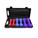 6-piece hand dumbbell set