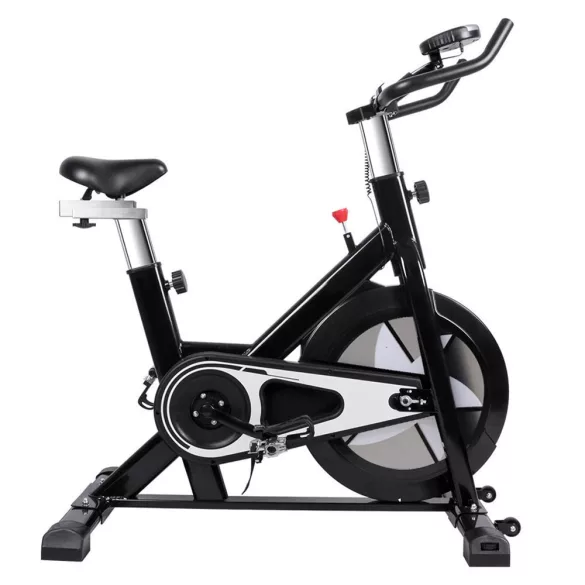 Spinning Bike Pro