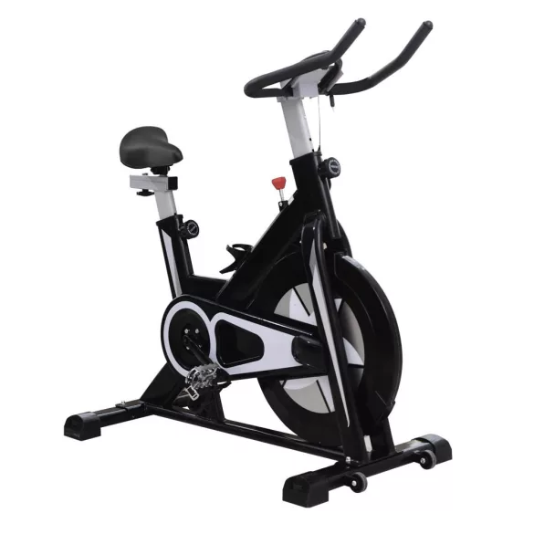 Spinning Bike Pro