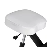 Kneeling Chair, White