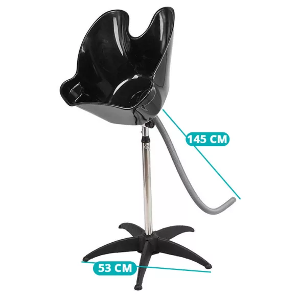 Hair Washing Stand