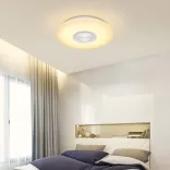 Color Changing Ceiling Lamp