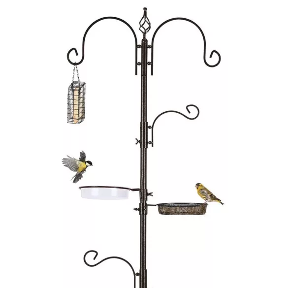 Bird Feeder