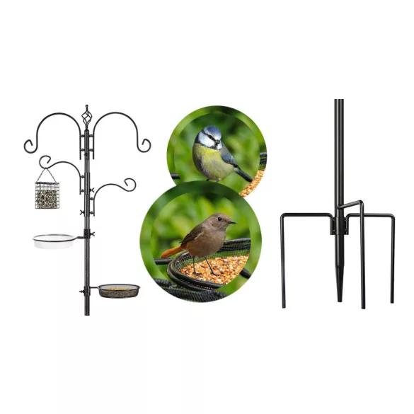 Bird Feeder