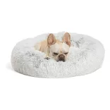 Dog and Cat Bed - 80 cm