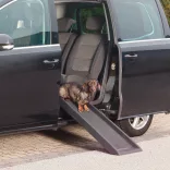 Pet Ramp