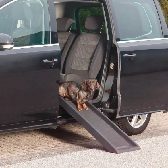 Pet Ramp