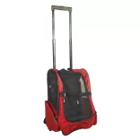 2-in-1 Pullable Pet Carrier, Multiple Colors - Red