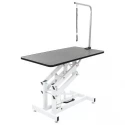 Hydraulic Pet Grooming Table