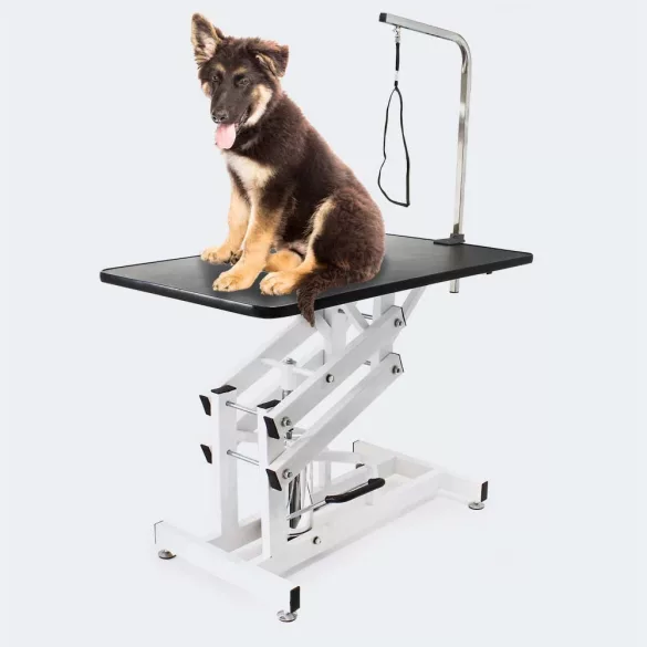 Hydraulic Pet Grooming Table