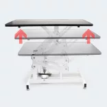 Hydraulic Pet Grooming Table