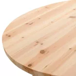Folding Party Table