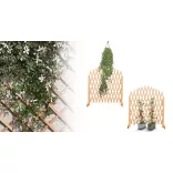 2-piece adjustable wooden plant trellis
