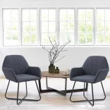 Molli Dining Chair Set of 2, Multiple Colors - Grey