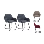 Molli Dining Chair Set of 2, Multiple Colors - Grey