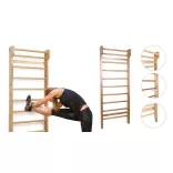Wall Bars