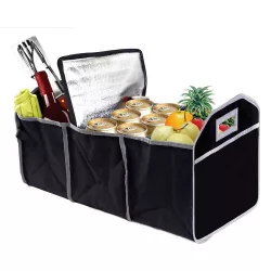 Multi-compartment trunk organizer