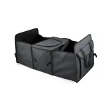 Multi-compartment trunk organizer