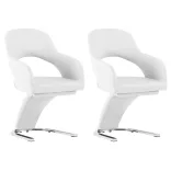 Emma Dining Chair Set of 2, 2 Colors - White