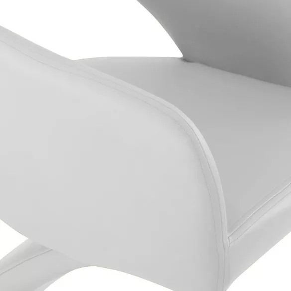 Emma Dining Chair Set of 2, 2 Colors - White