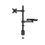 Desktop Monitor and Laptop Stand