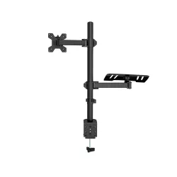 Desktop Monitor and Laptop Stand