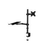 Desktop Monitor and Laptop Stand