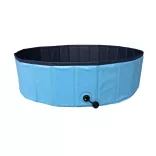 Dog Pool