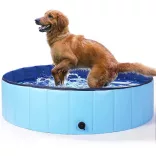 Dog Pool