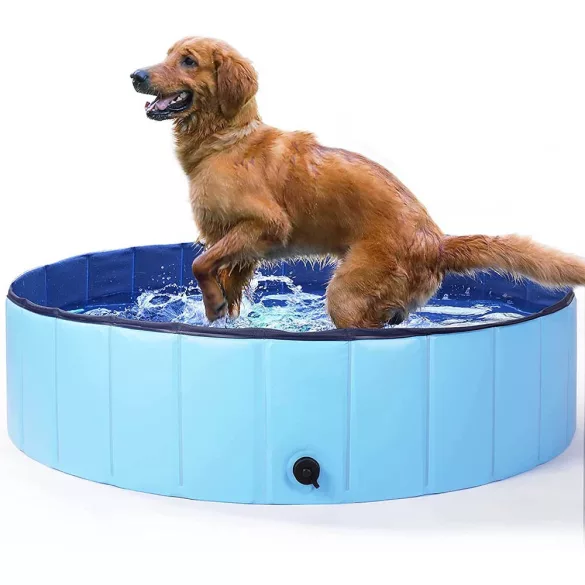 Dog Pool