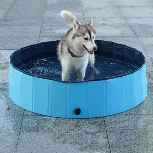 Dog Pool