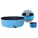 Dog Pool