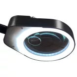 Table-mounted, 2-lens LED Magnifier