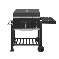 Multifunctional Grill