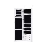 Wall-mounted mirrored jewelry organizer with lighting
